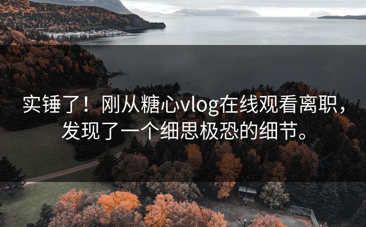 实锤了！刚从糖心vlog在线观看离职，发现了一个细思极恐的细节。
